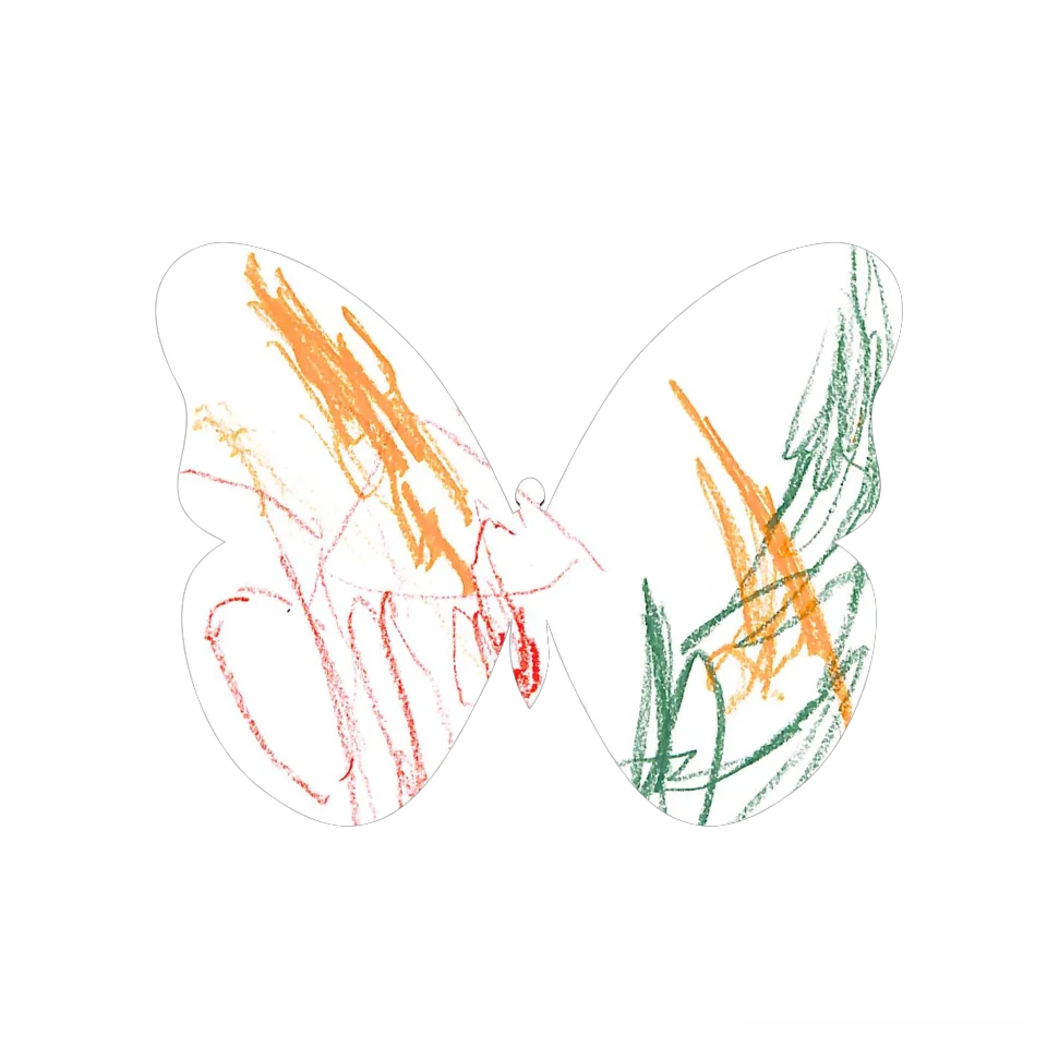 Original Butterfly Image