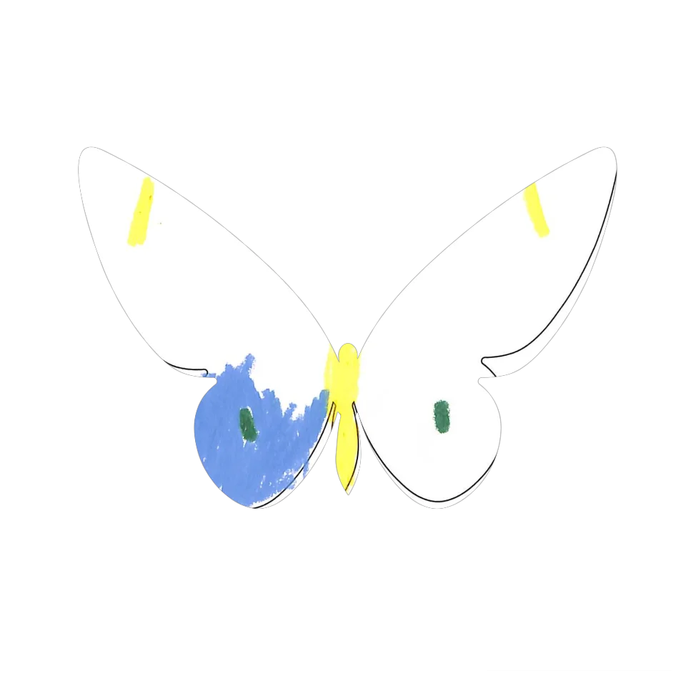 Original Butterfly Image