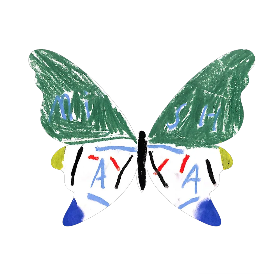 Original Butterfly Image
