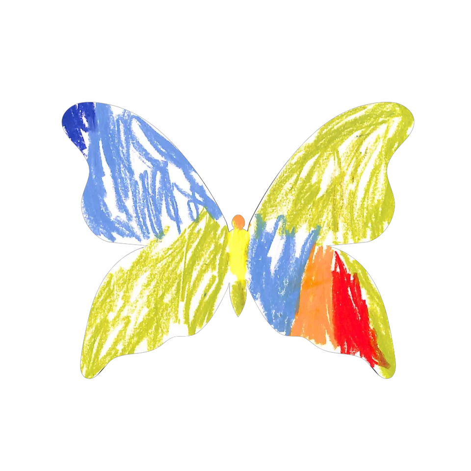 Original Butterfly Image