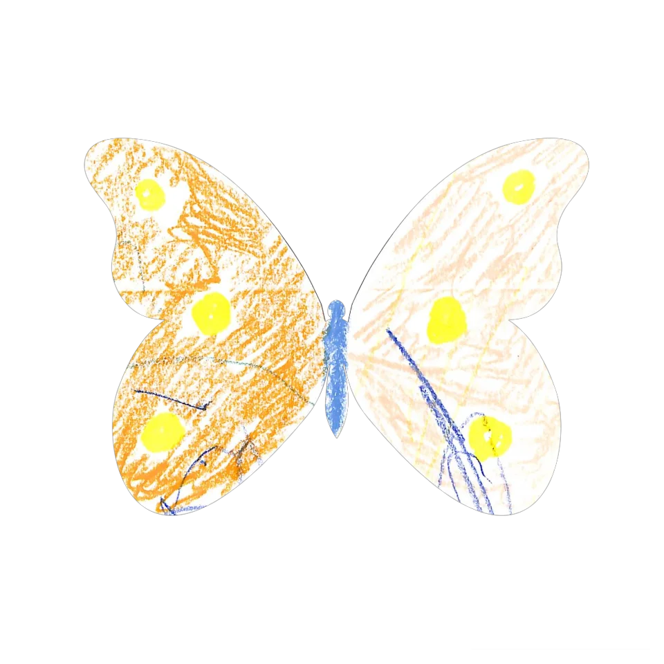 Original Butterfly Image