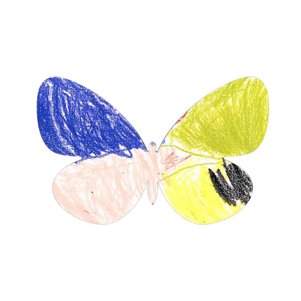 Original Butterfly Image