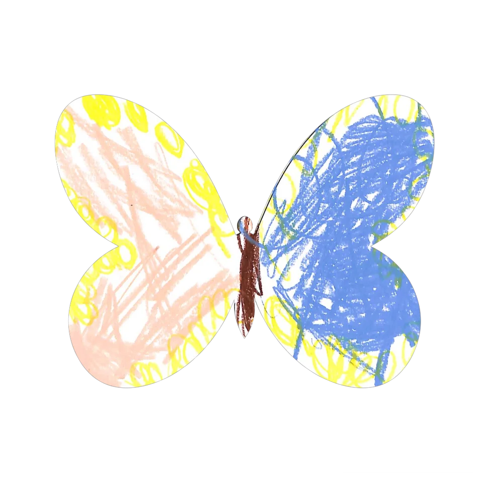 Original Butterfly Image
