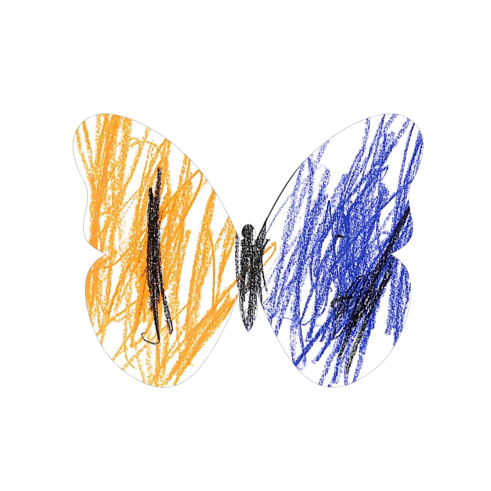 Original Butterfly Image