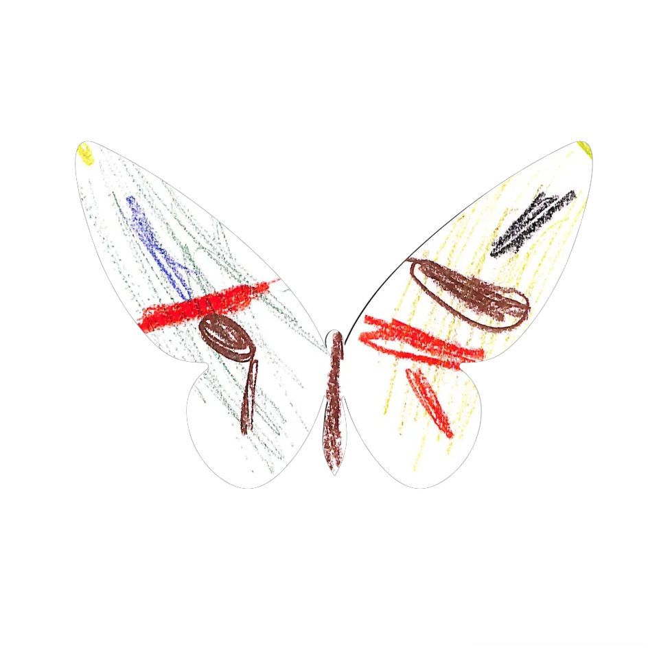 Original Butterfly Image