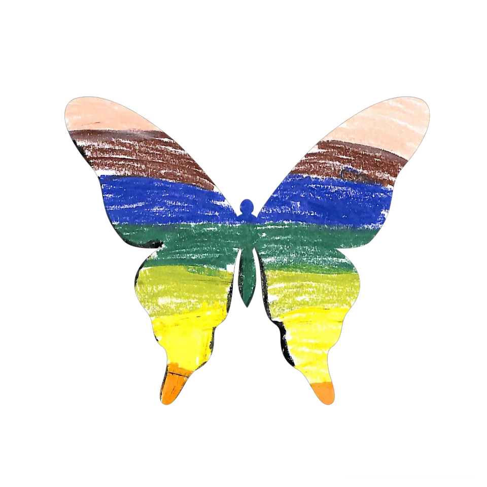 Original Butterfly Image