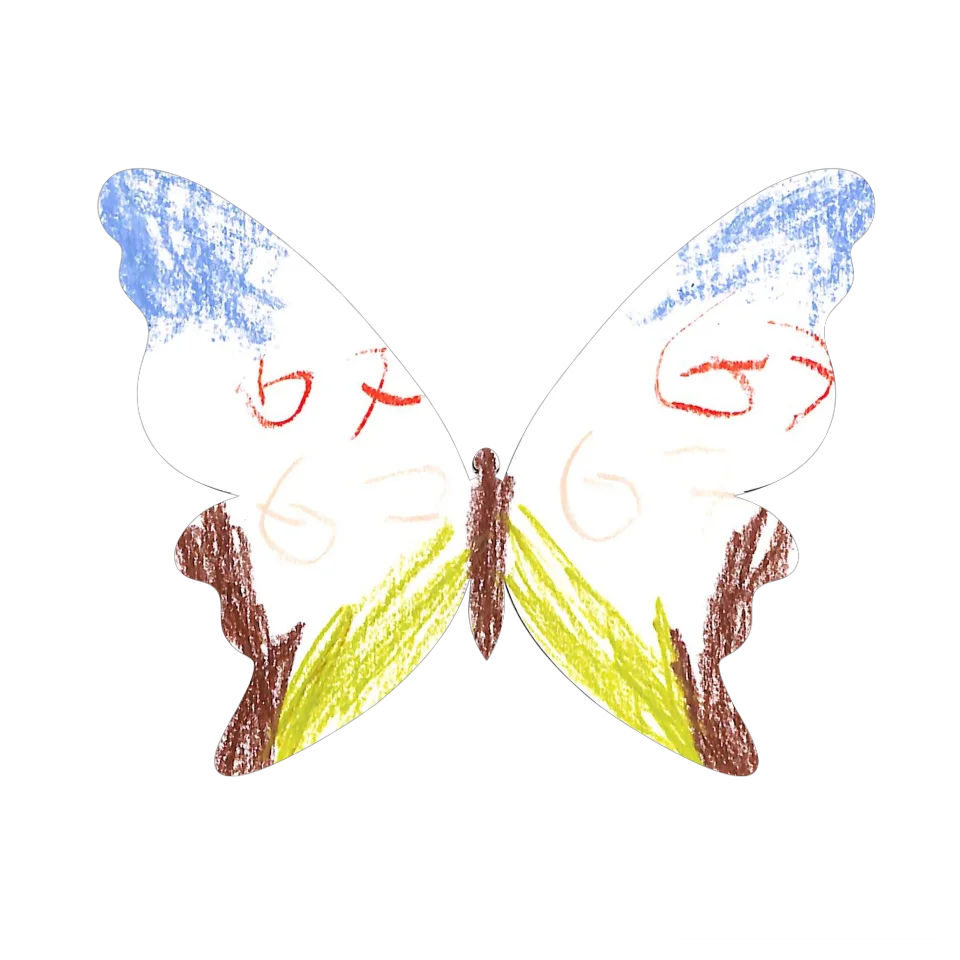 Original Butterfly Image