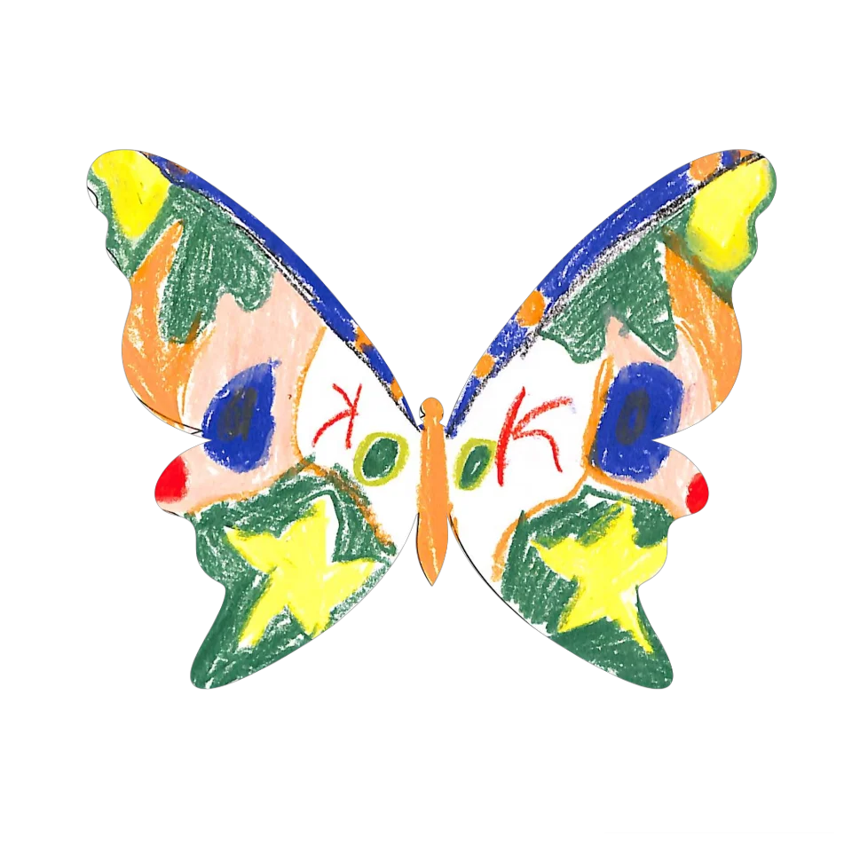 Original Butterfly Image