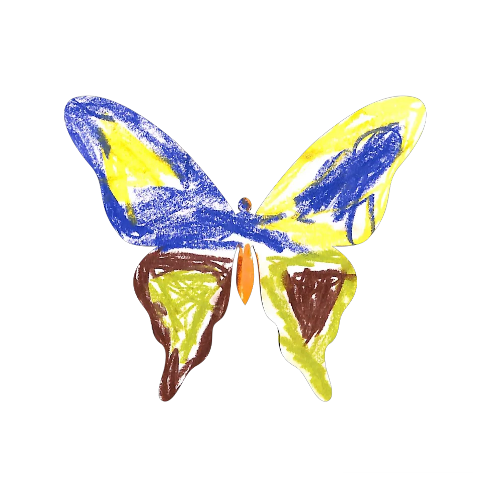 Original Butterfly Image
