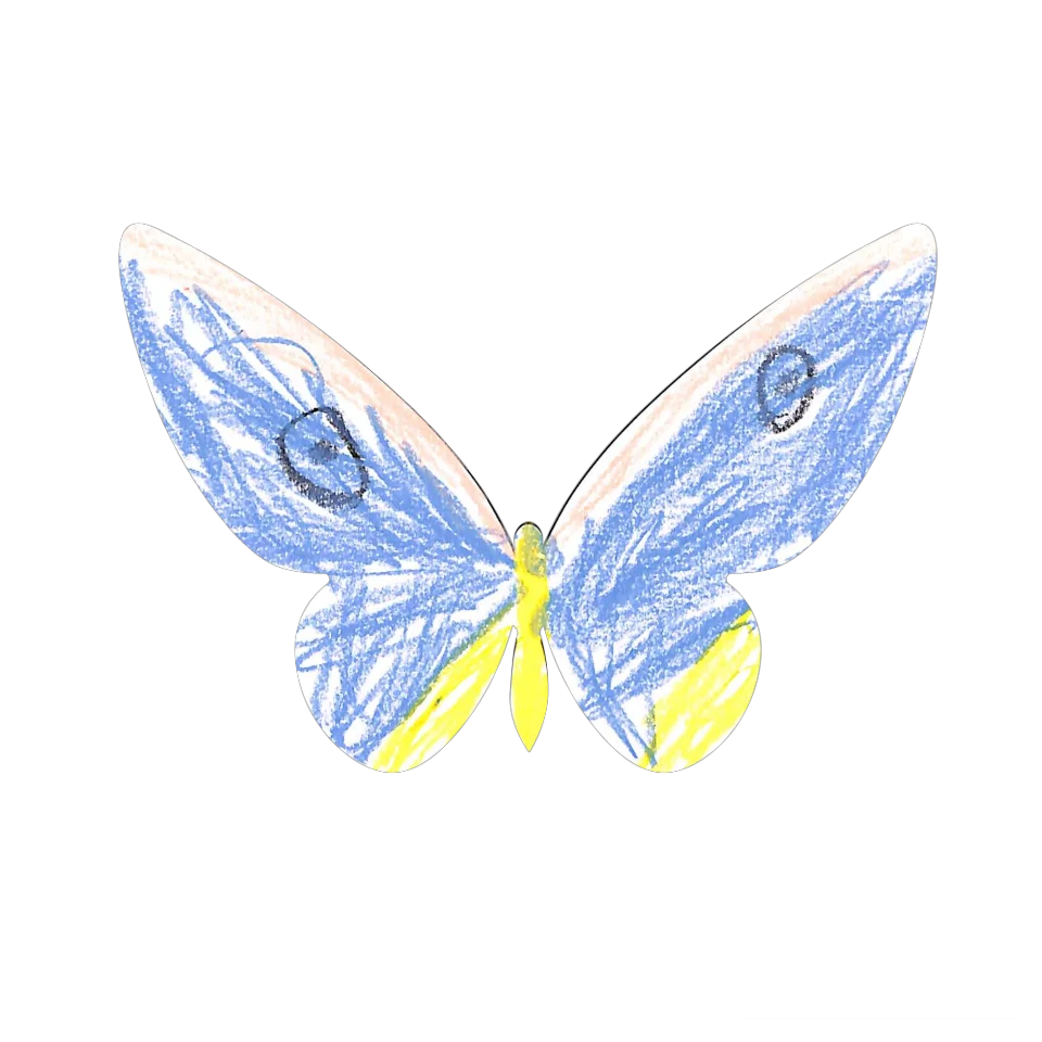 Original Butterfly Image