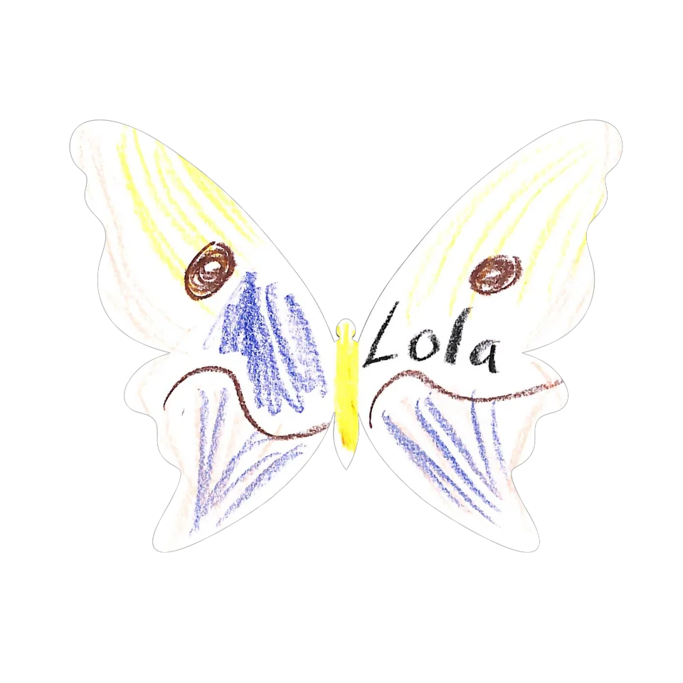Original Butterfly Image