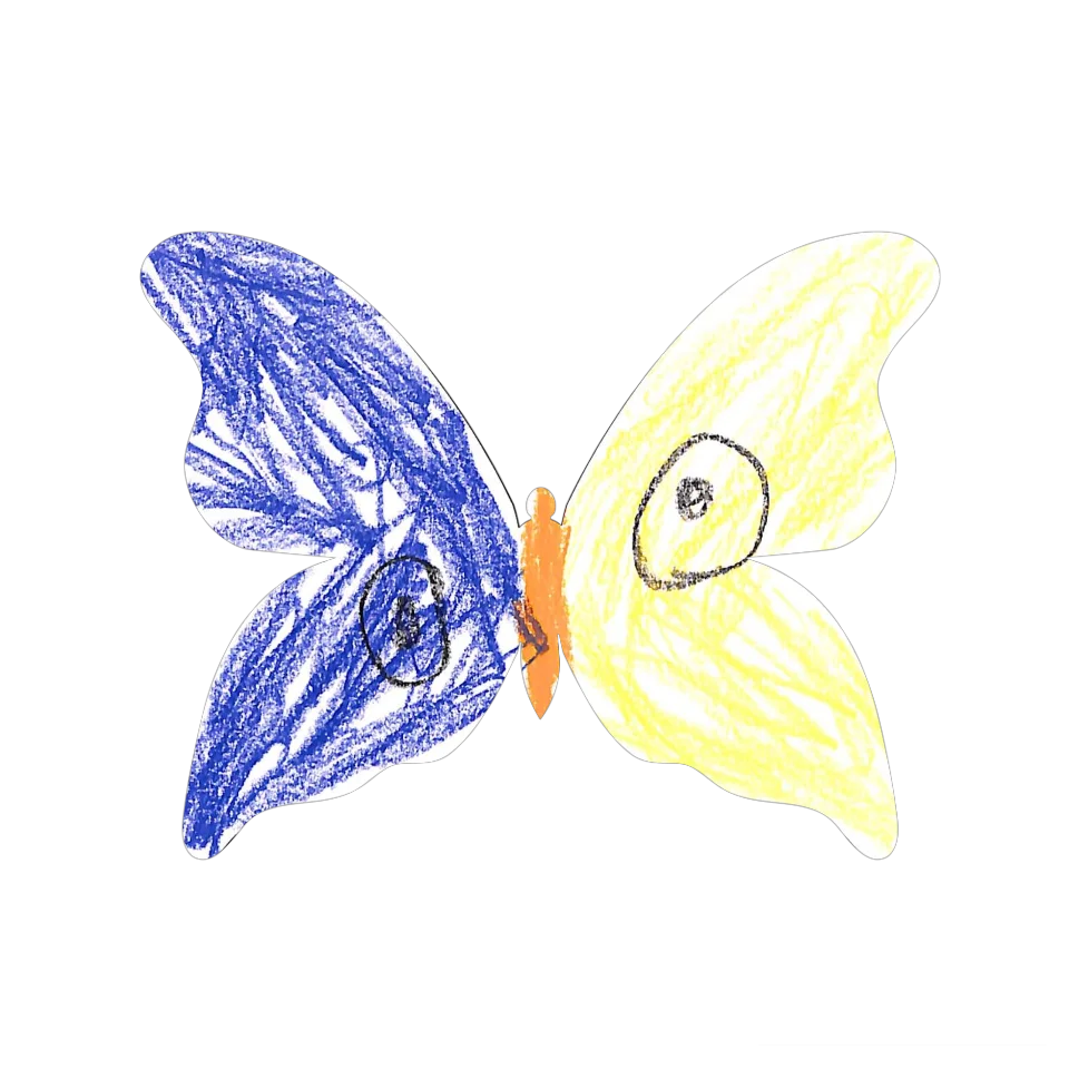 Original Butterfly Image