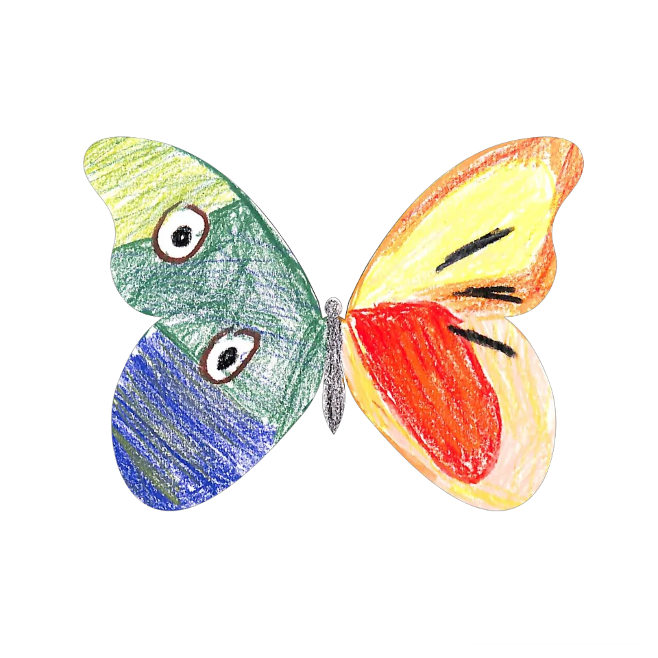 Original Butterfly Image