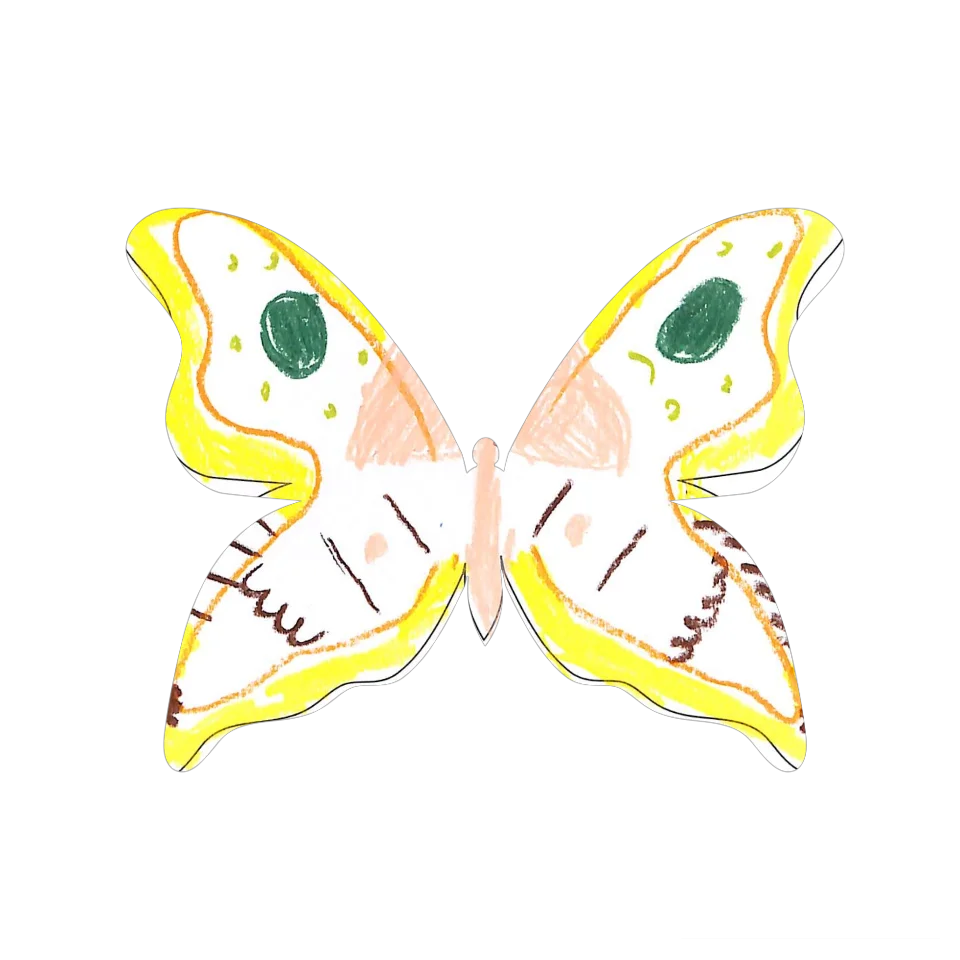 Original Butterfly Image