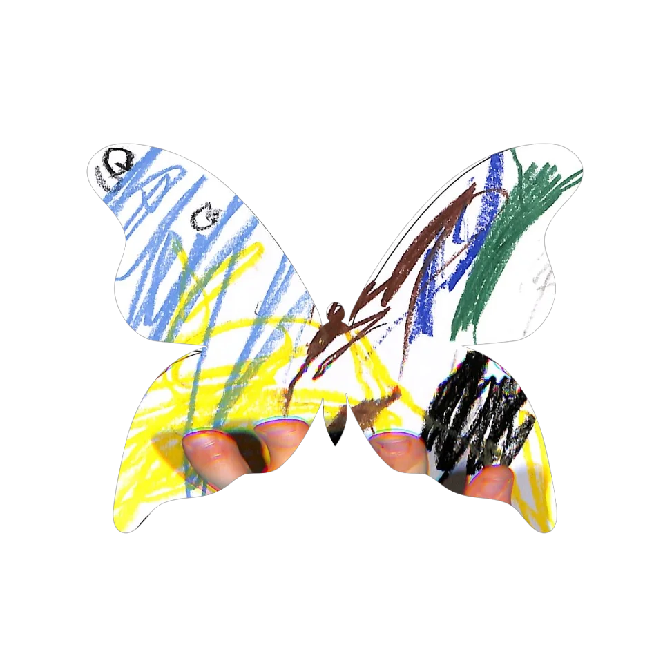 Original Butterfly Image
