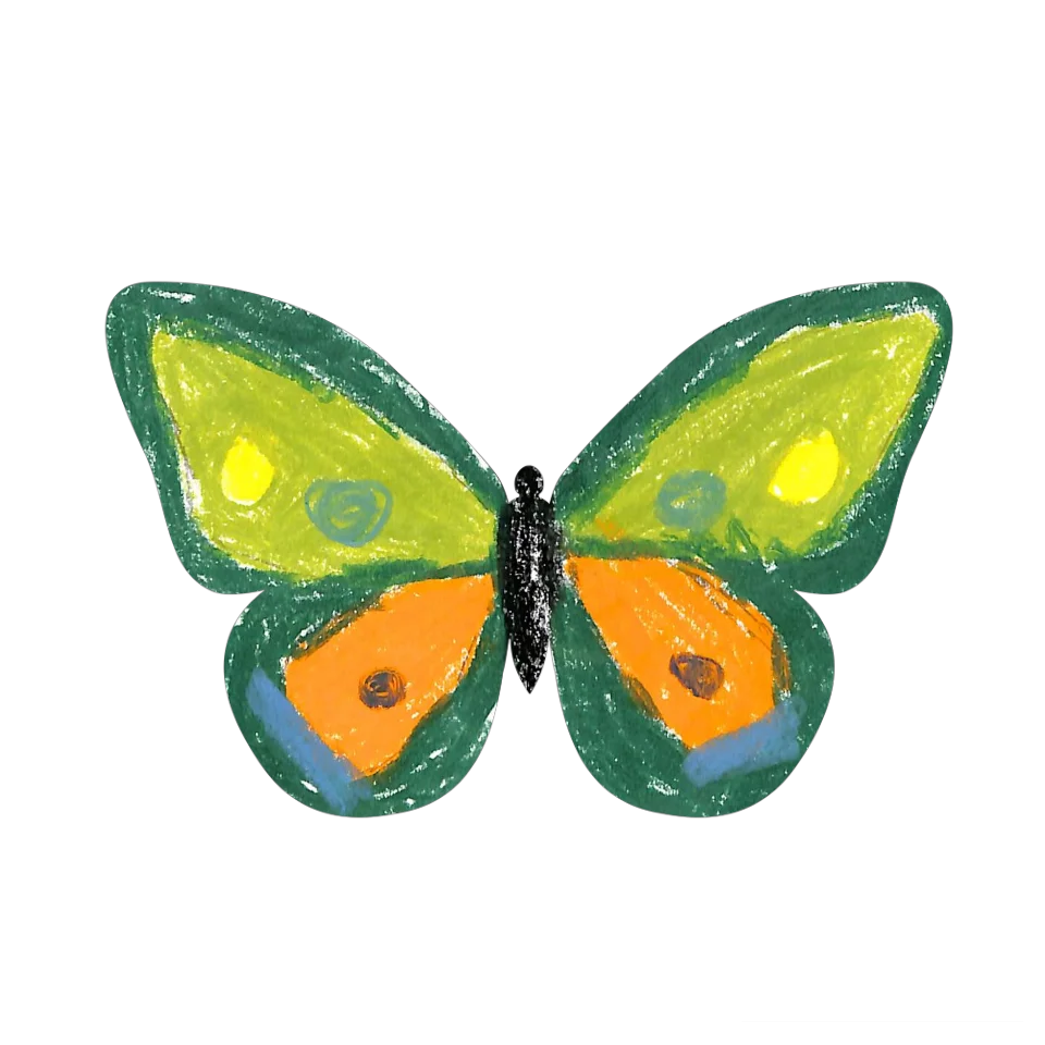 Original Butterfly Image
