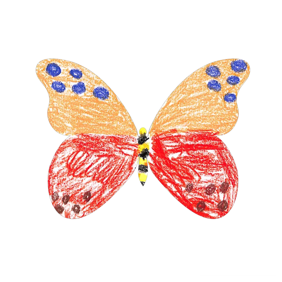 Original Butterfly Image