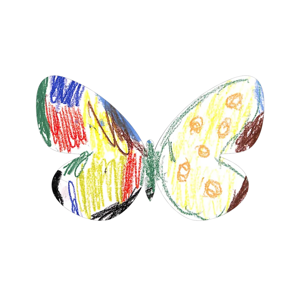 Original Butterfly Image