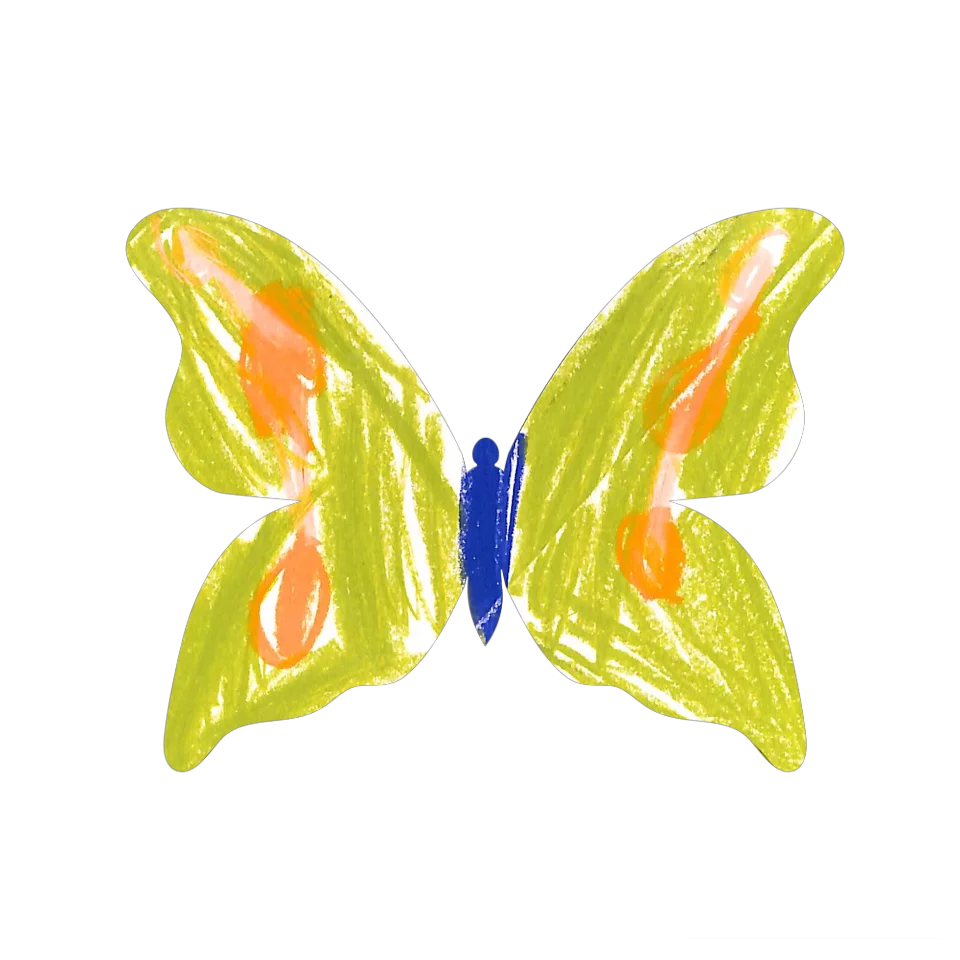 Original Butterfly Image