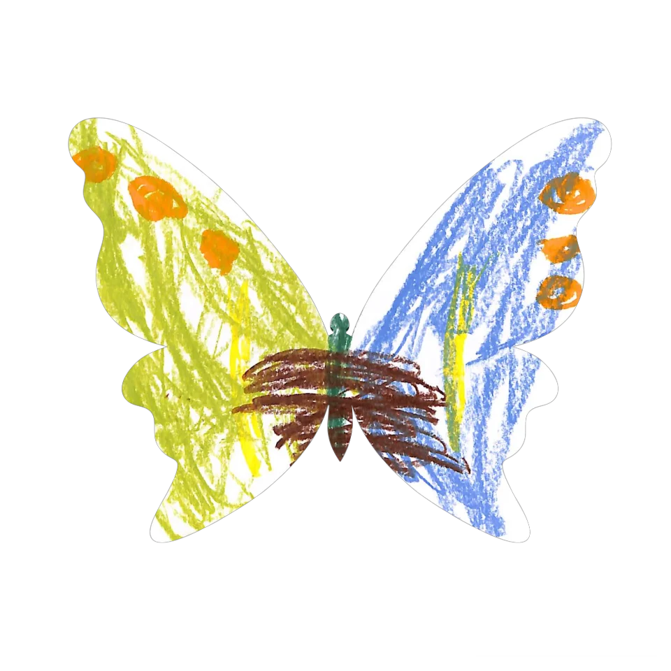 Original Butterfly Image