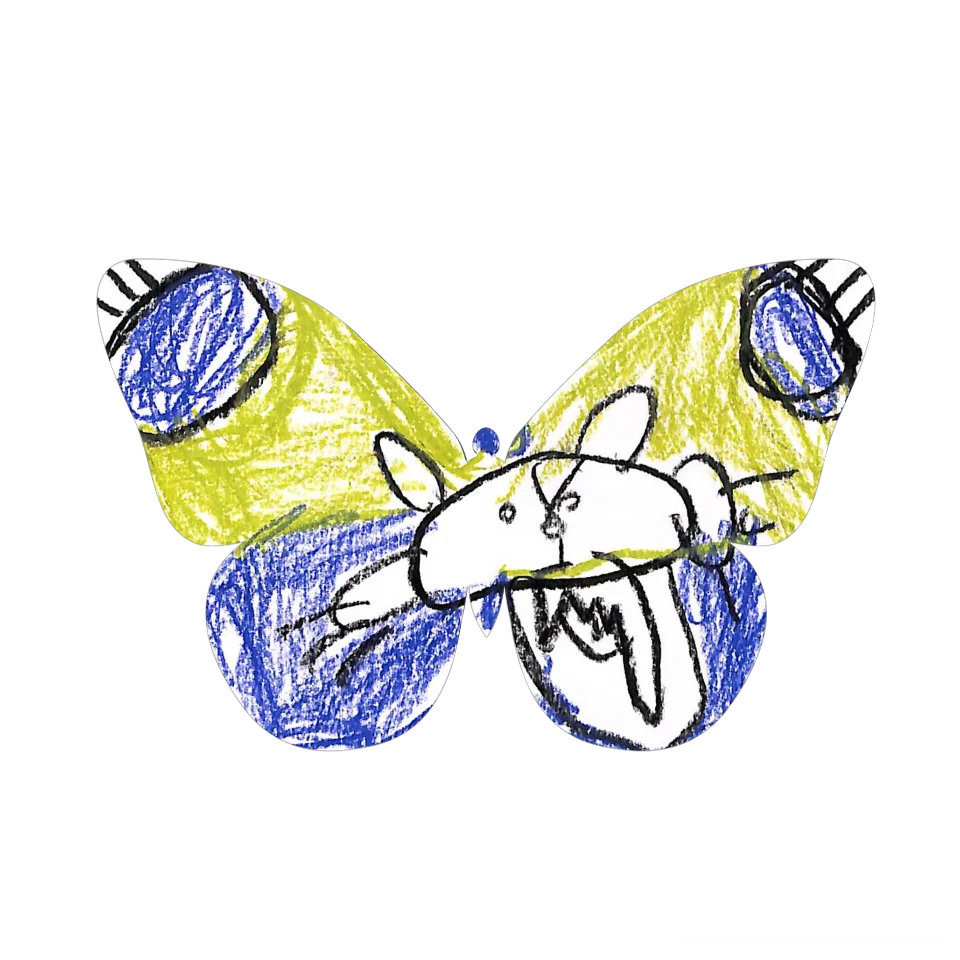 Original Butterfly Image