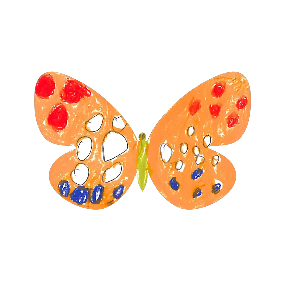 Original Butterfly Image