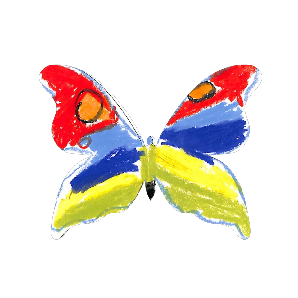 Original Butterfly Image