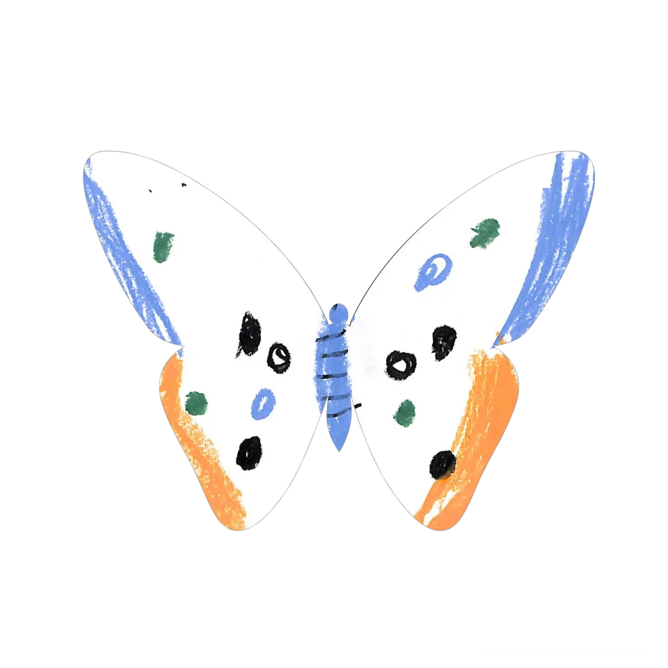 Original Butterfly Image