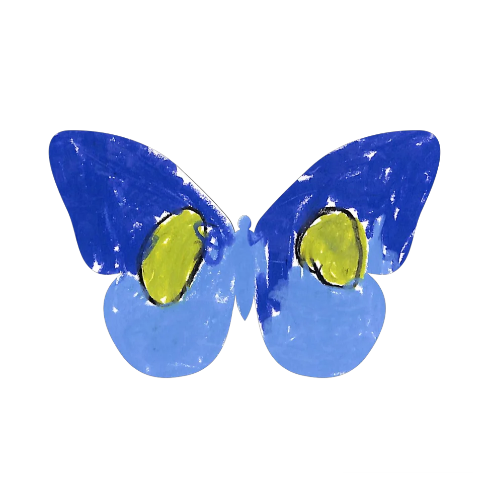 Original Butterfly Image