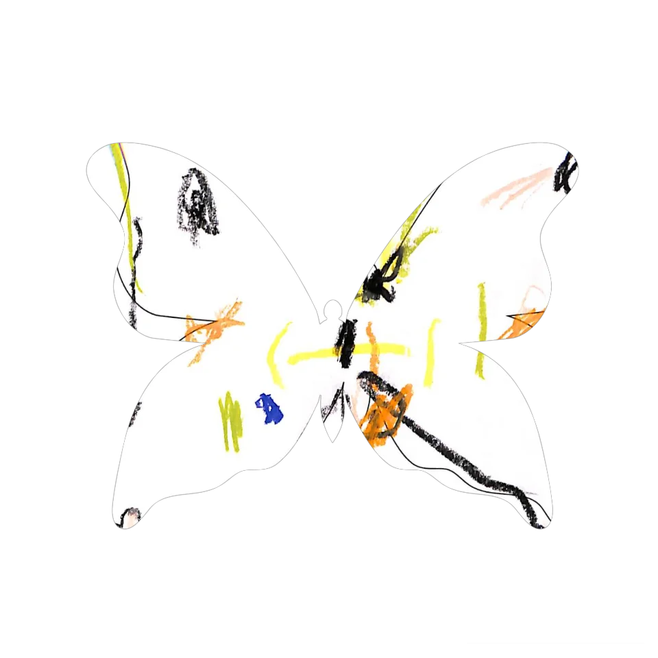 Original Butterfly Image