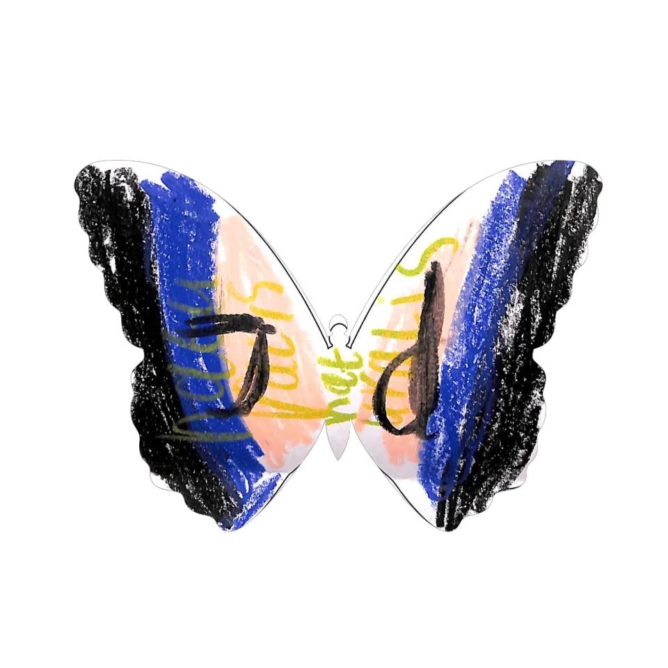 Original Butterfly Image