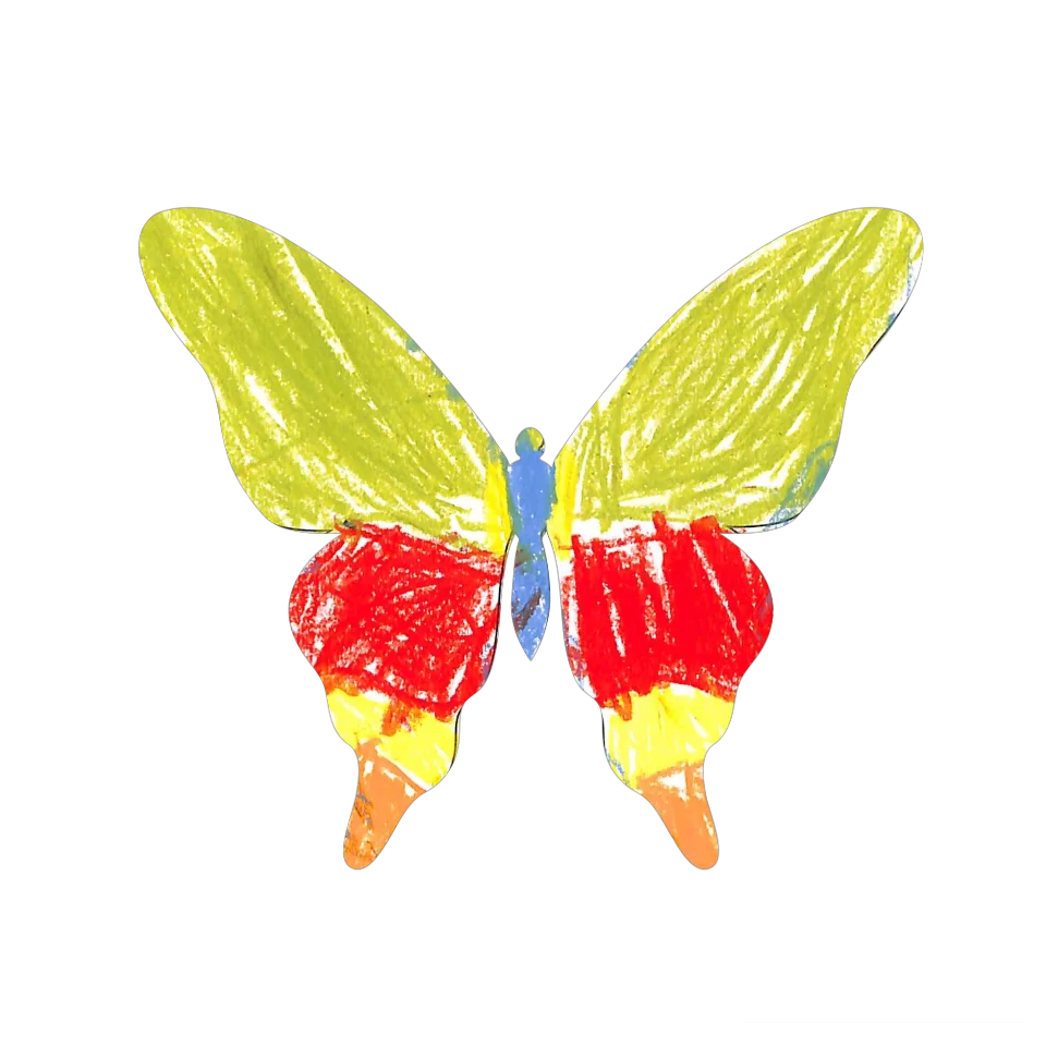 Original Butterfly Image