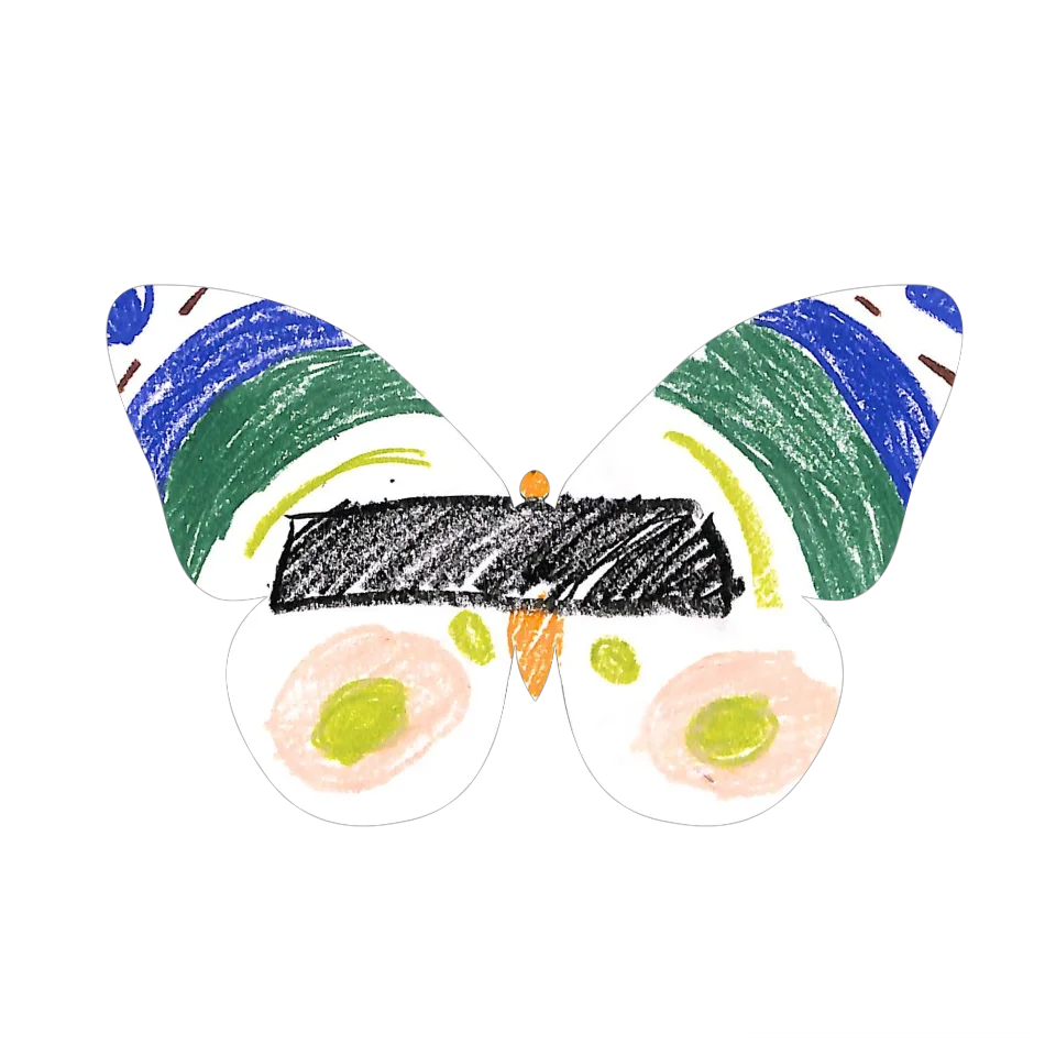 Original Butterfly Image