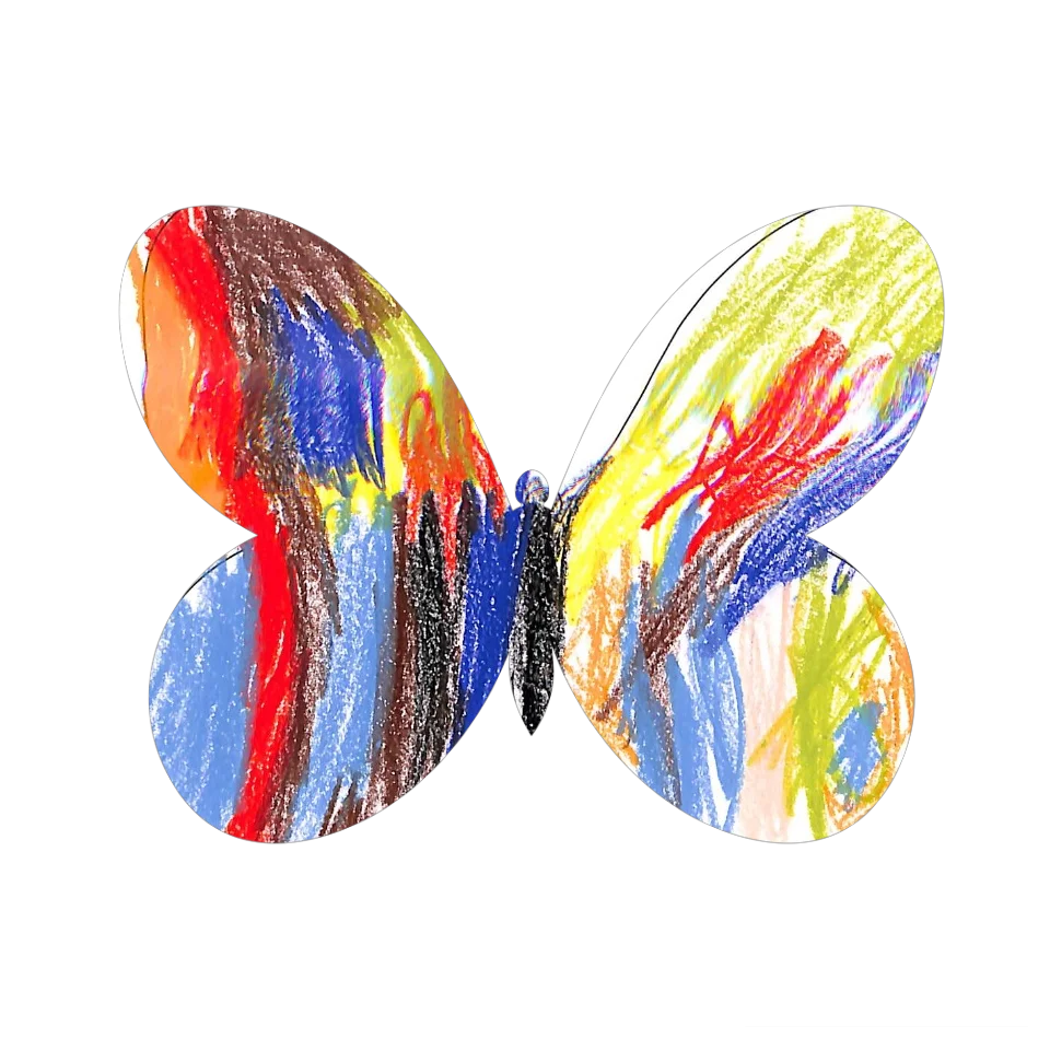 Original Butterfly Image