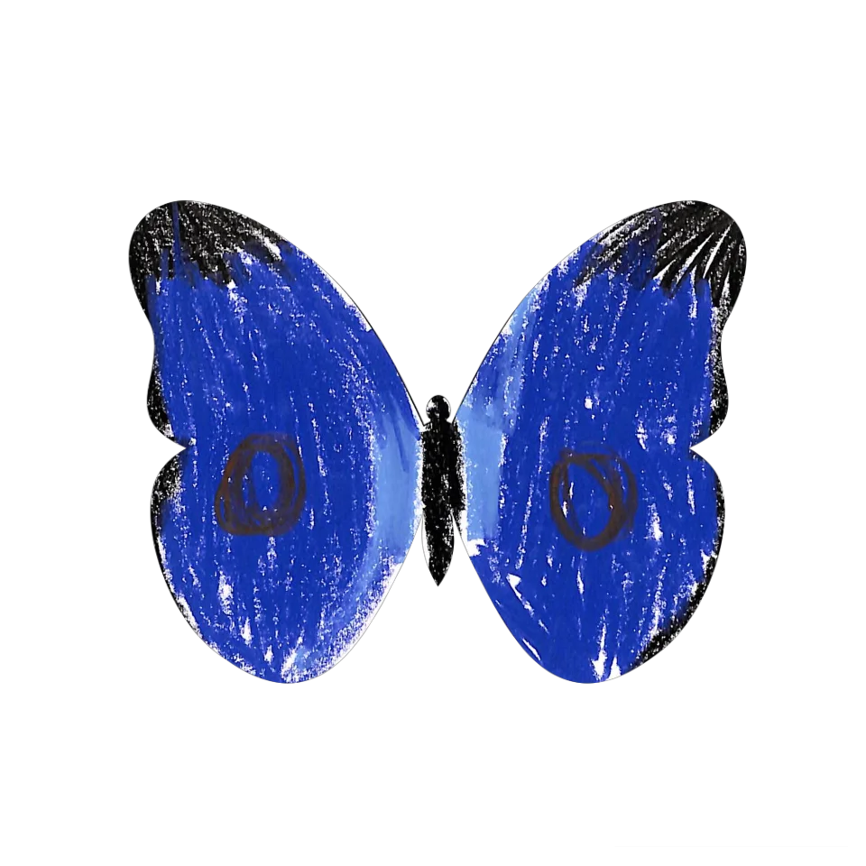 Original Butterfly Image