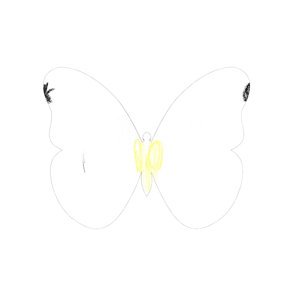 Original Butterfly Image