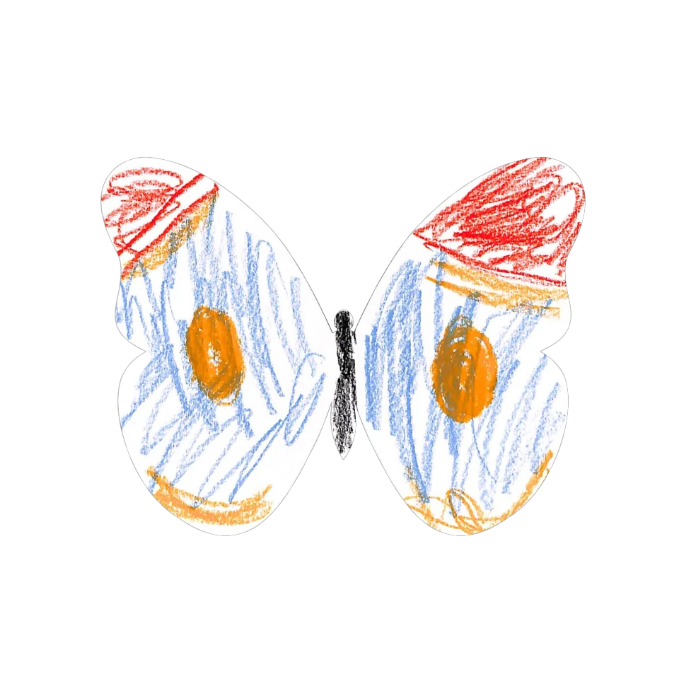 Original Butterfly Image