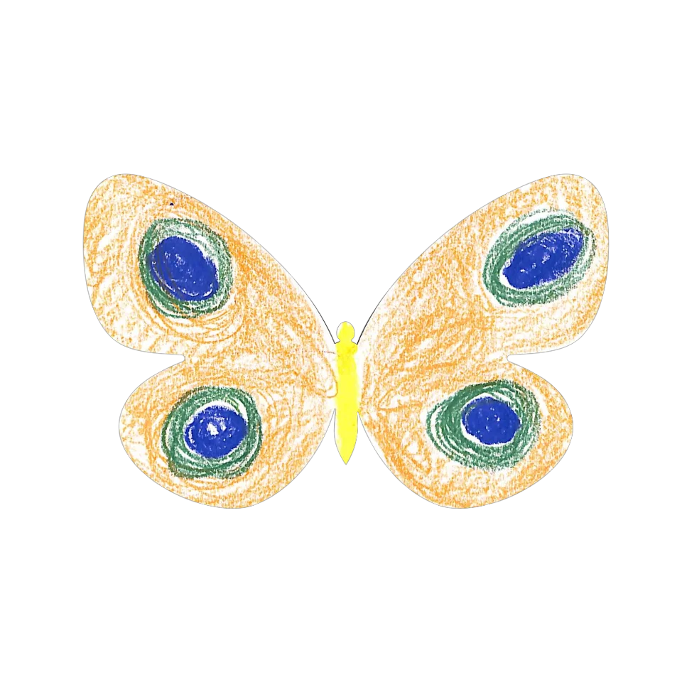 Original Butterfly Image