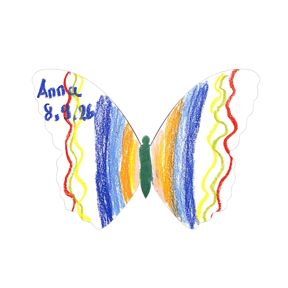 Original Butterfly Image