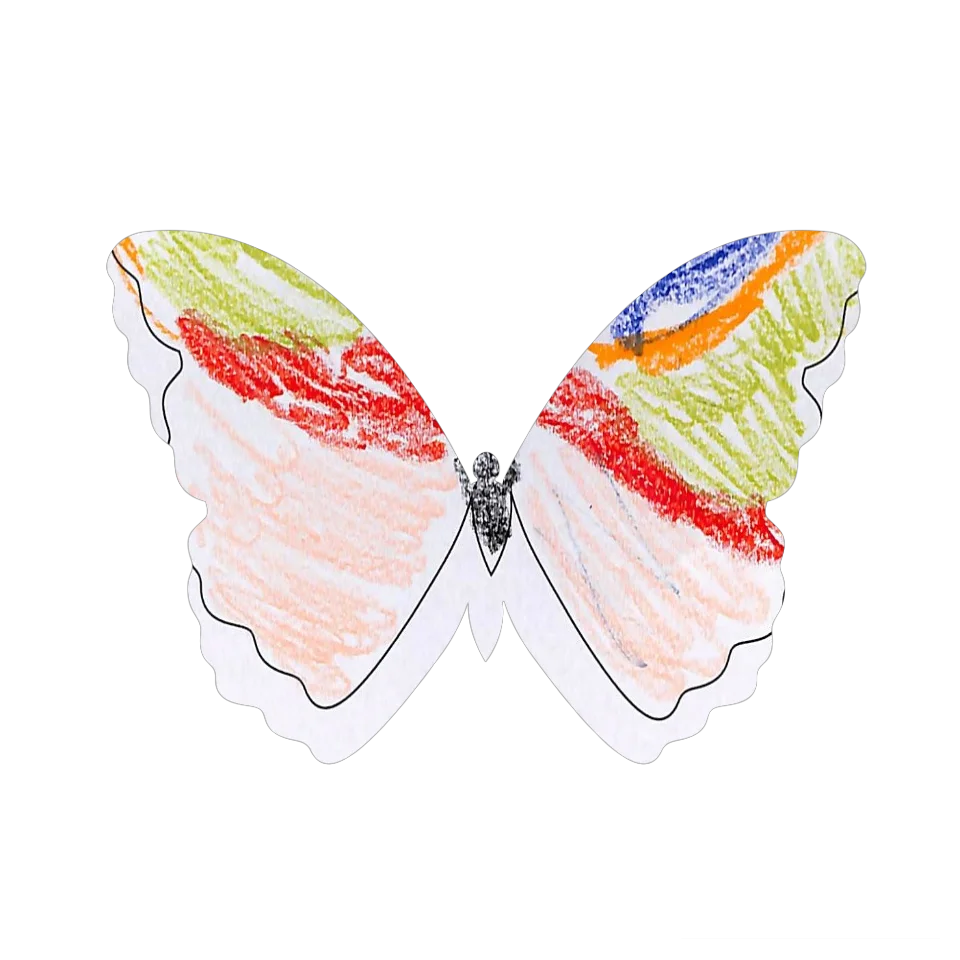 Original Butterfly Image