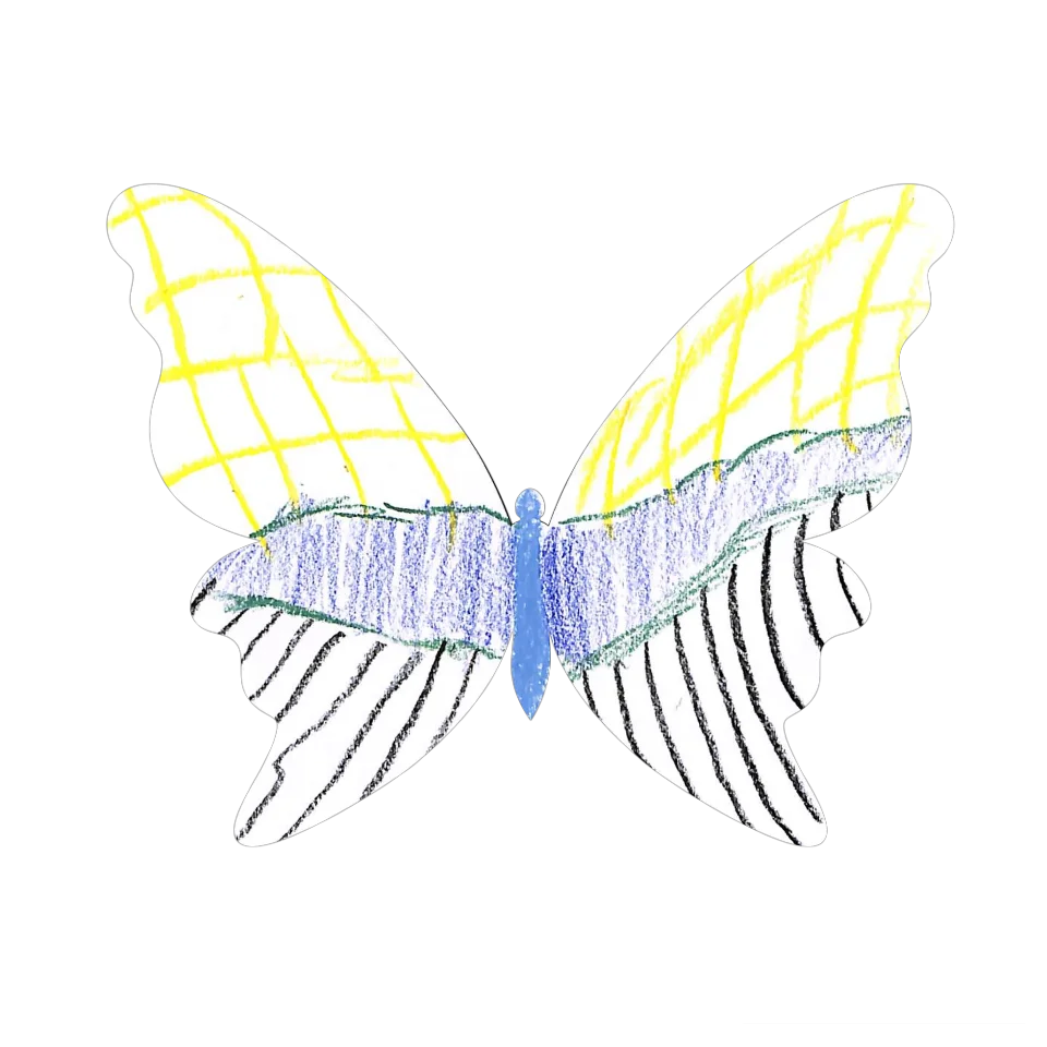 Original Butterfly Image