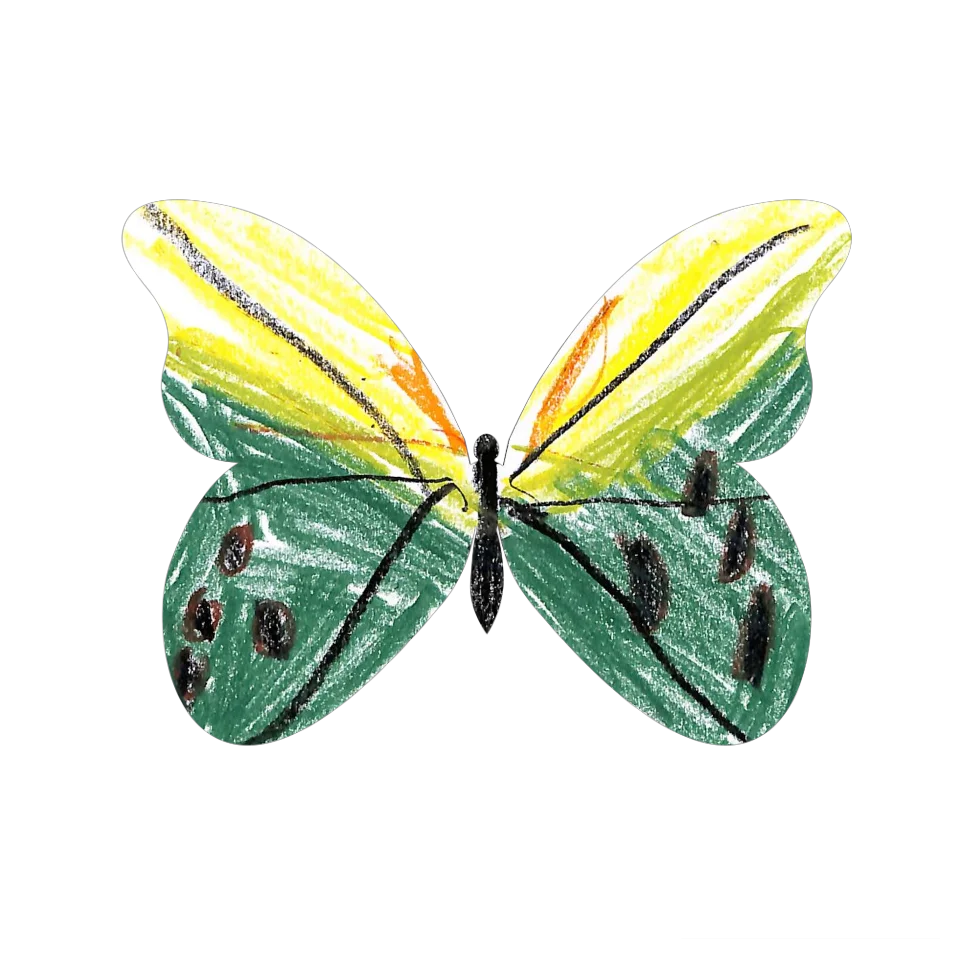 Original Butterfly Image