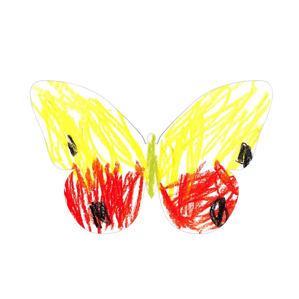 Original Butterfly Image