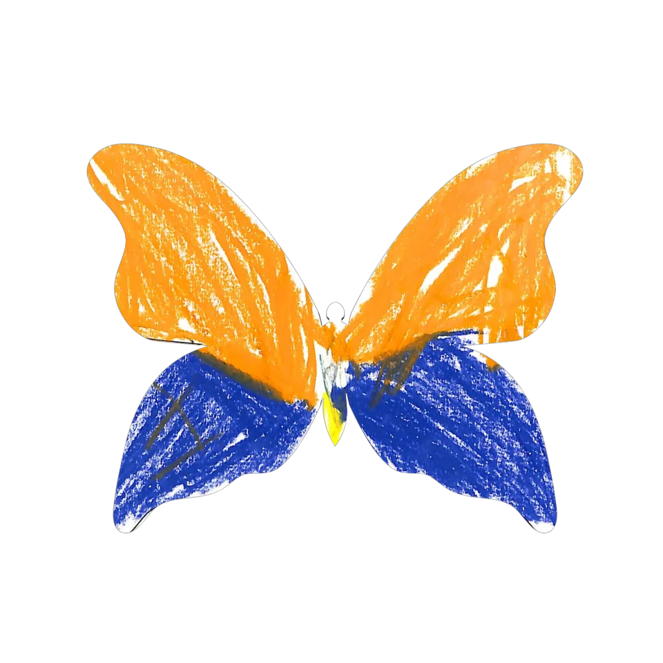 Original Butterfly Image