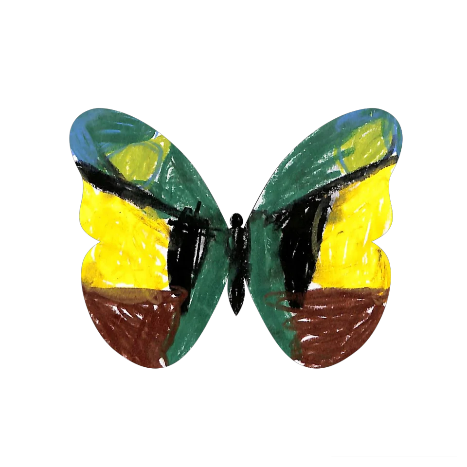 Original Butterfly Image