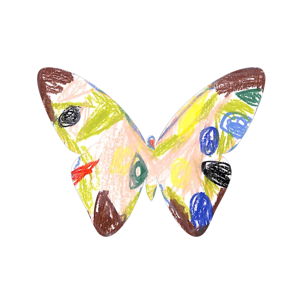 Original Butterfly Image