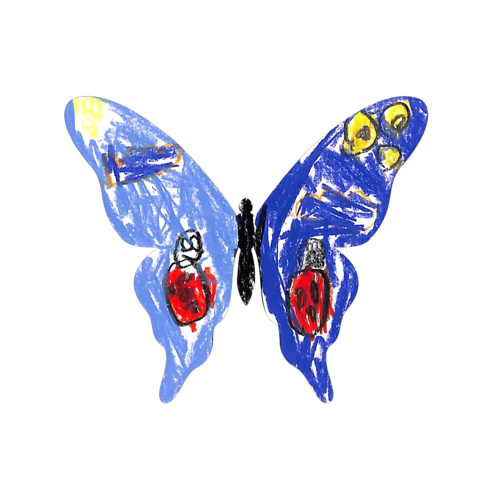 Original Butterfly Image