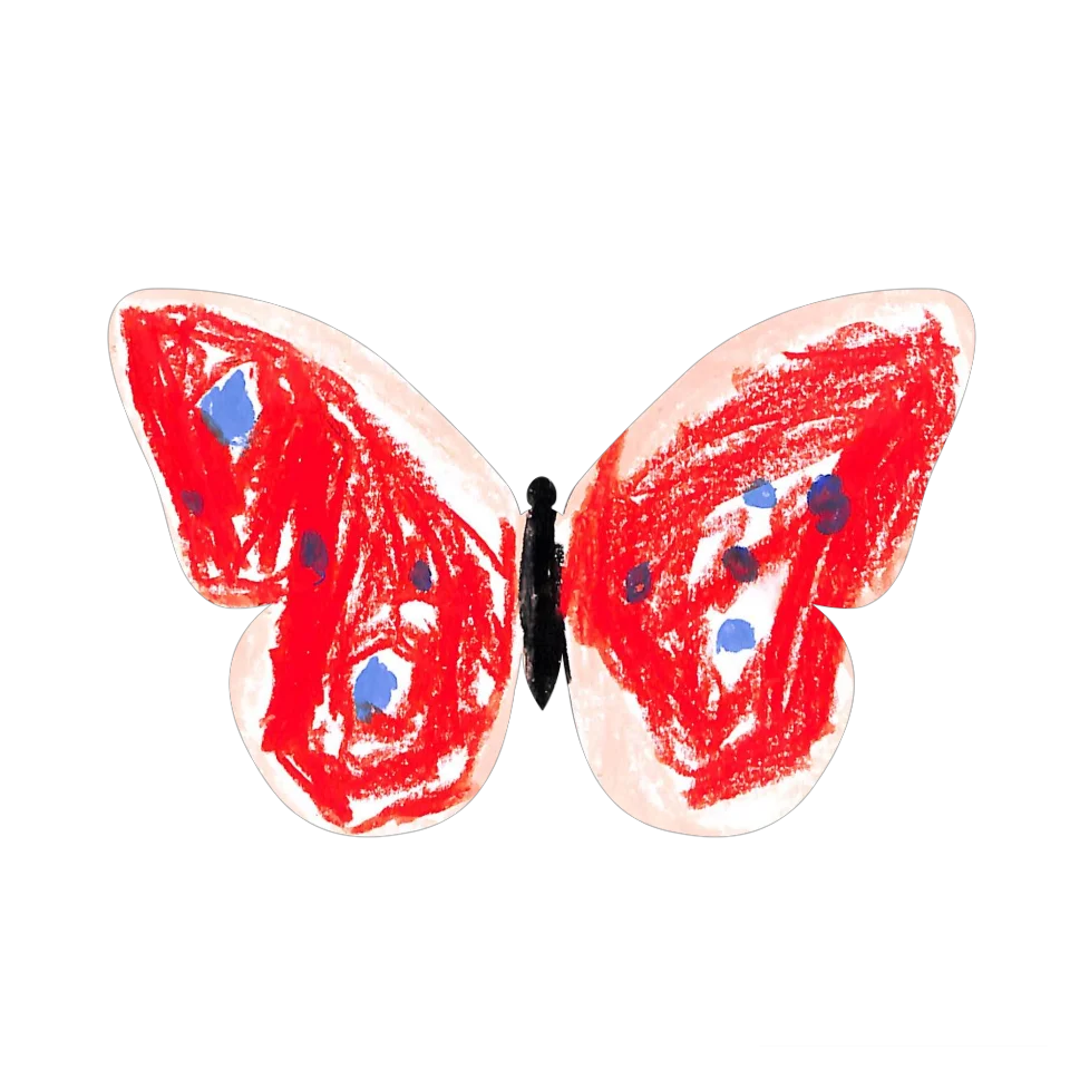 Original Butterfly Image