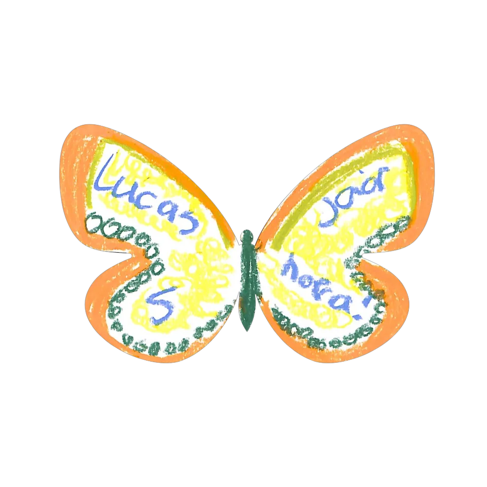 Original Butterfly Image