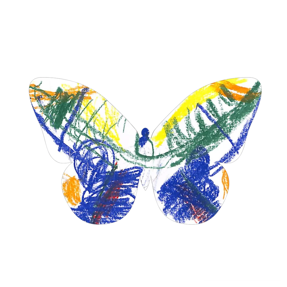 Original Butterfly Image